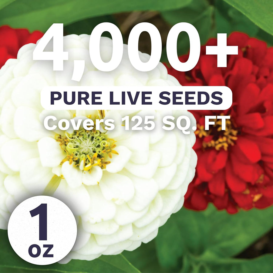 Zinnia Stop Sign Mix