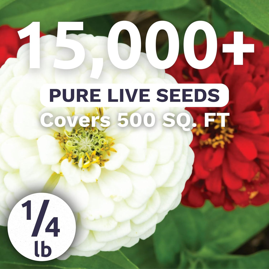 Zinnia Stop Sign Mix