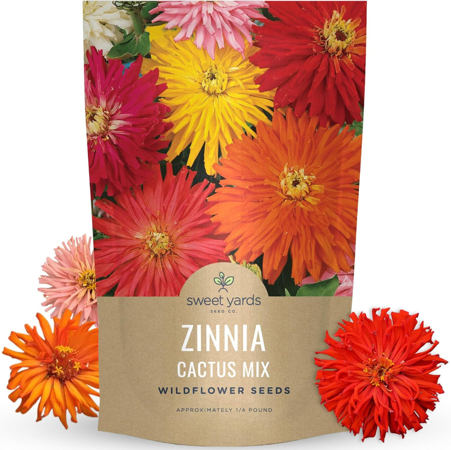 Zinnia Super Cactus Mix