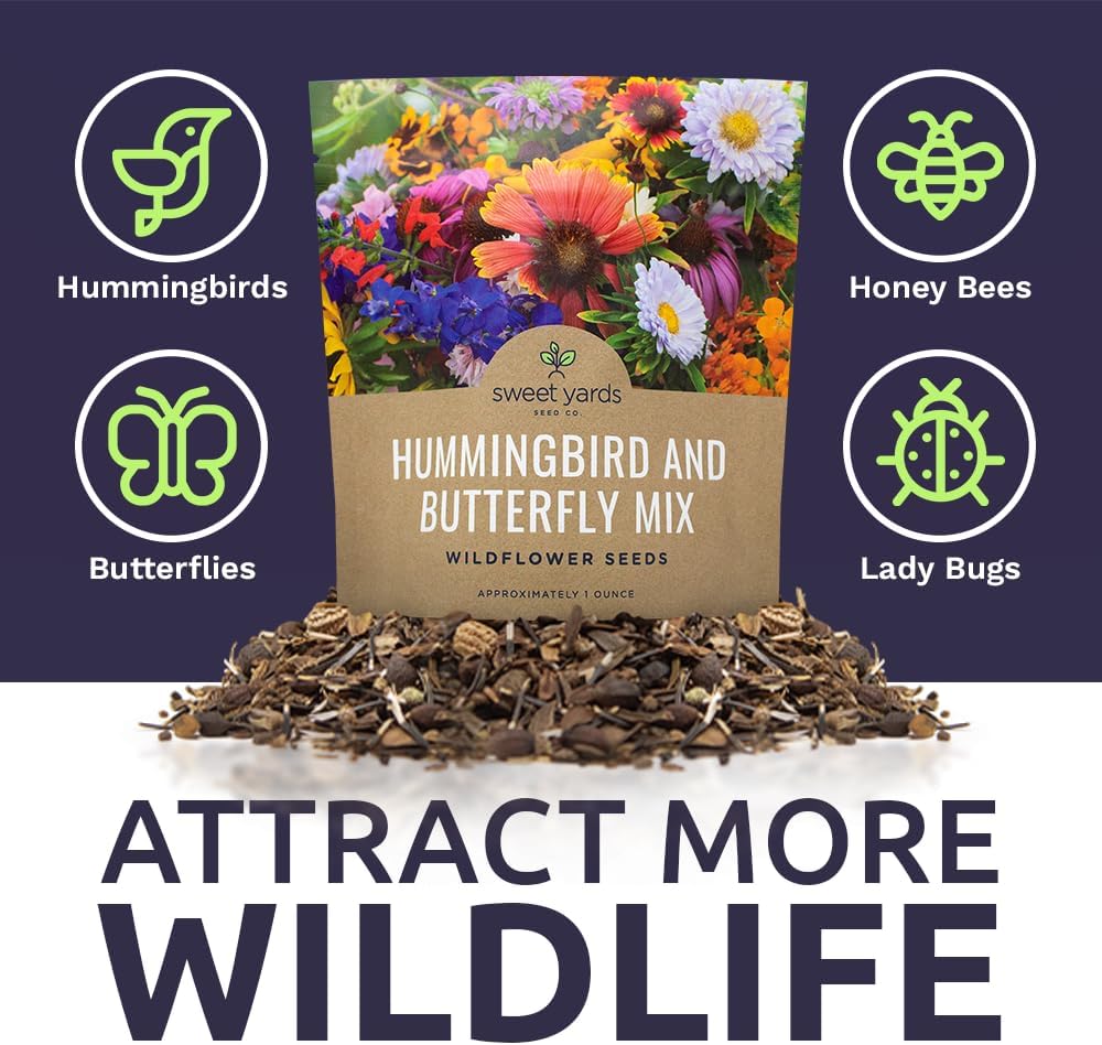 Hummingbird and Butterfly Wildflower Blend