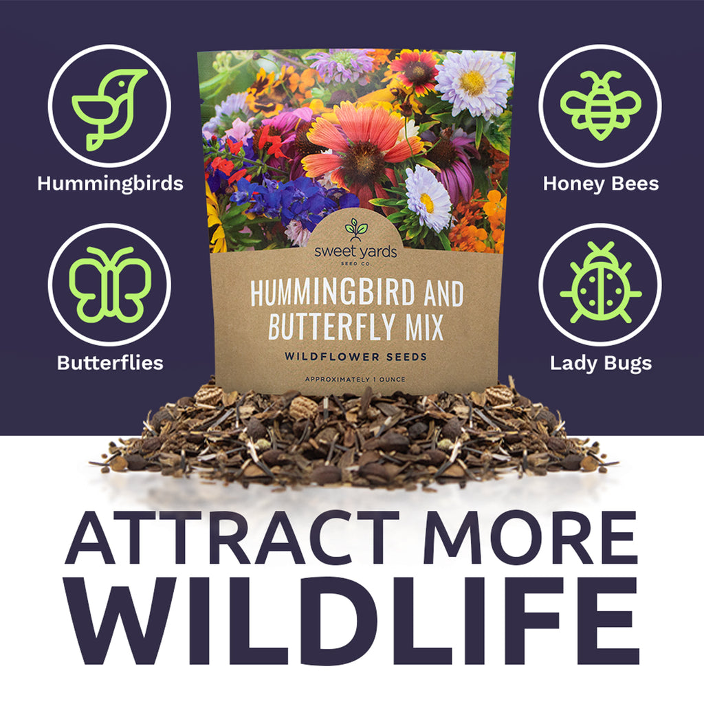 Hummingbird and Butterfly Wildflower Blend