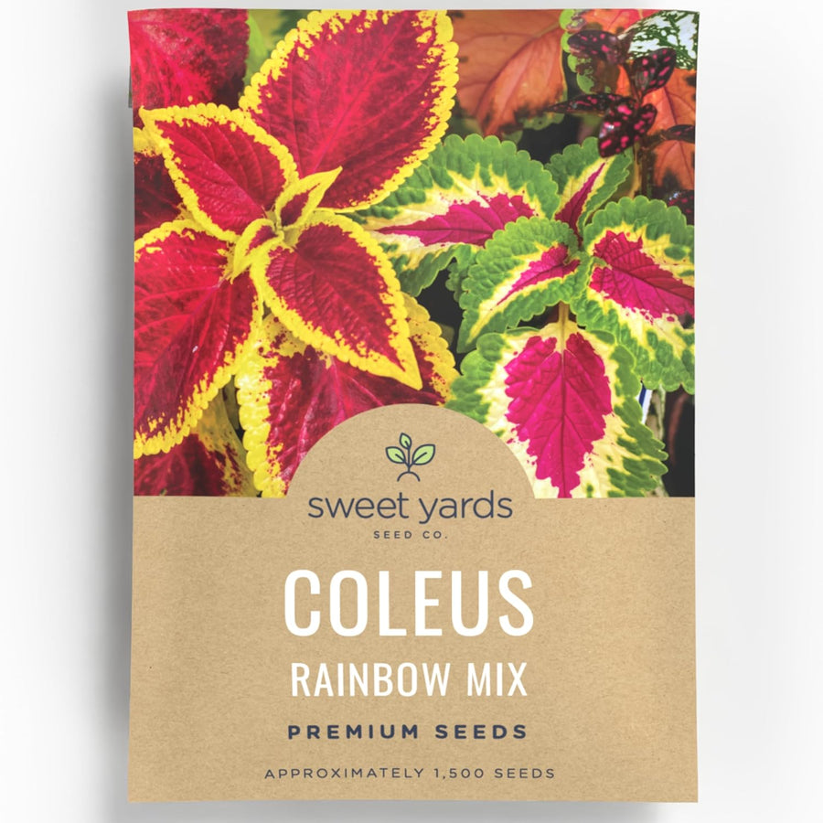 Coleus Rainbox Mix