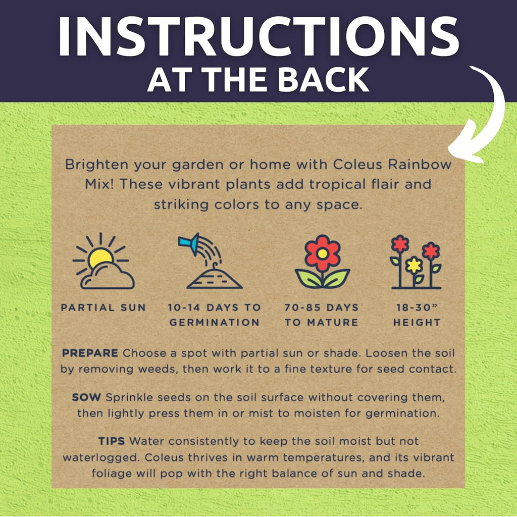 Coleus Rainbox Mix