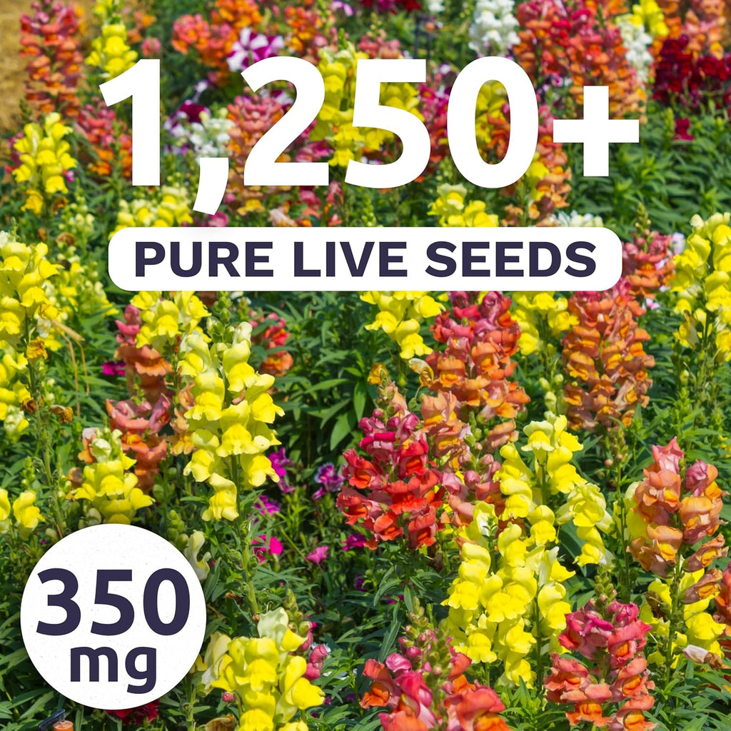 Snapdragon Tetra Mix