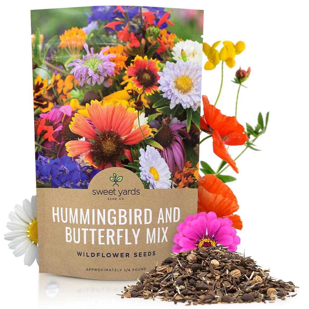 Hummingbird and Butterfly Wildflower Blend