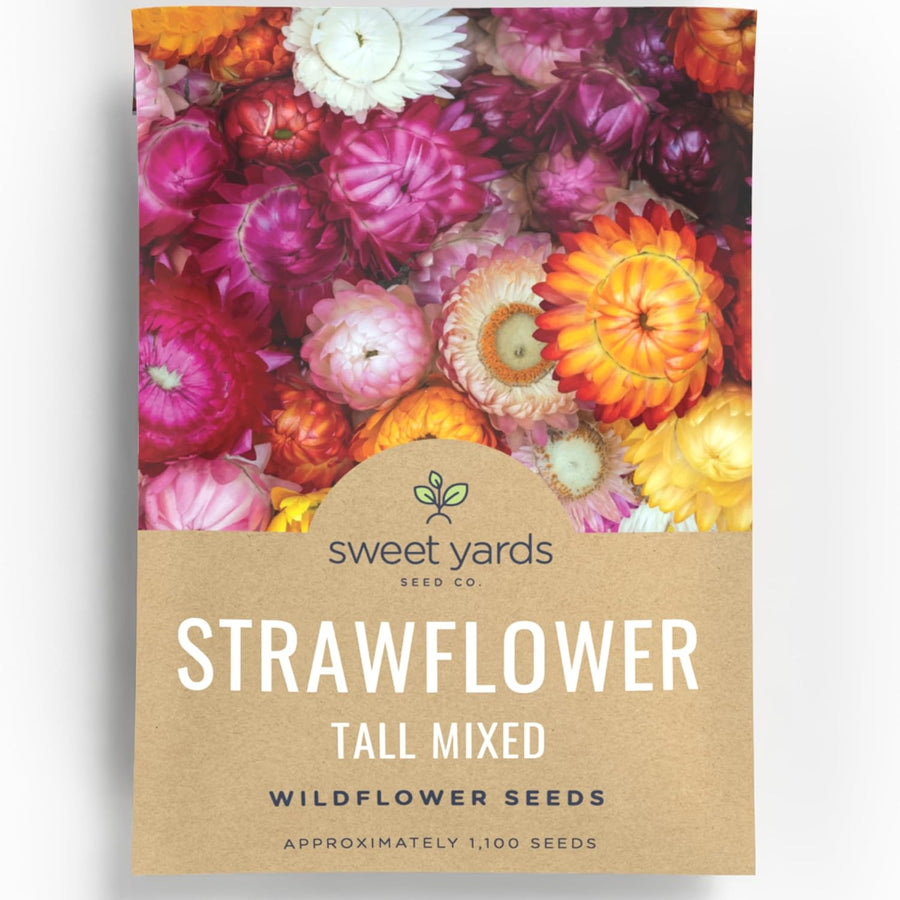 Strawflower Tall Mixed