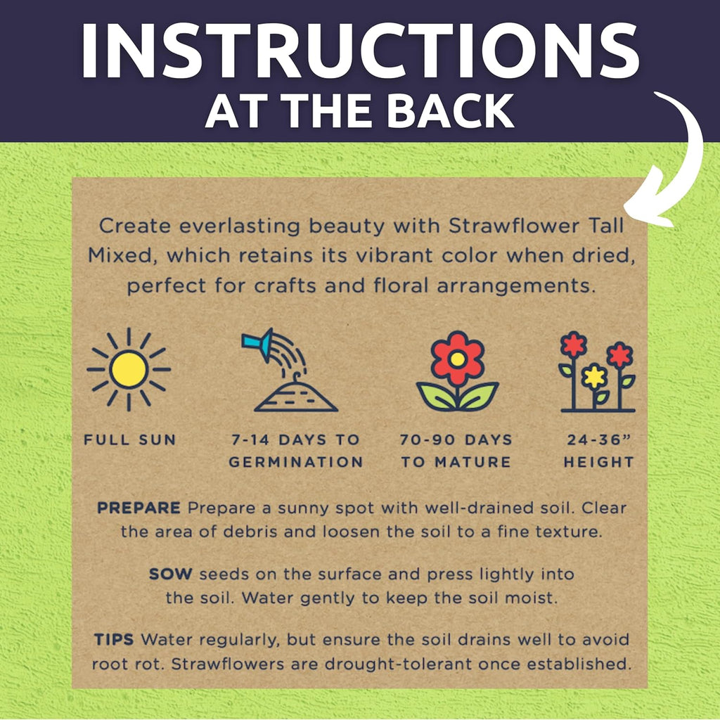 Strawflower Tall Mixed