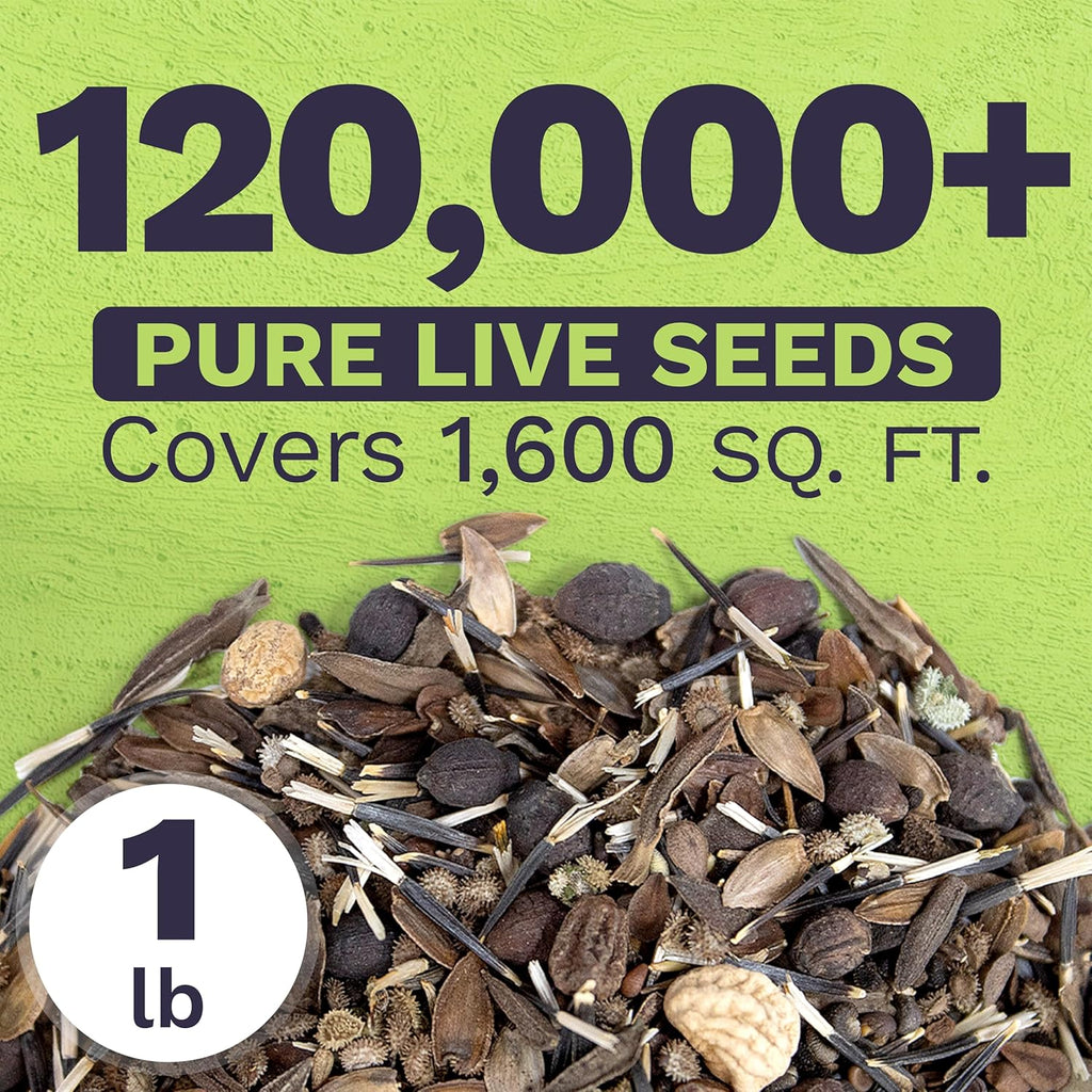 Hummingbird and Butterfly Wildflower Blend