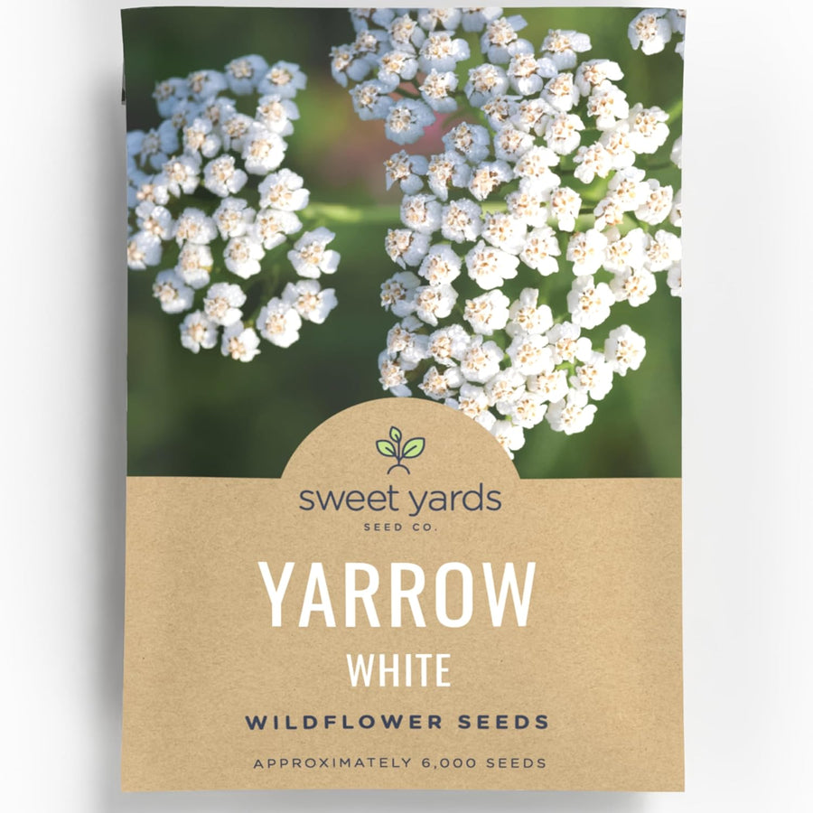 Yarrow White