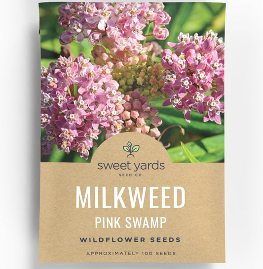 Pink Swamp Milkweed