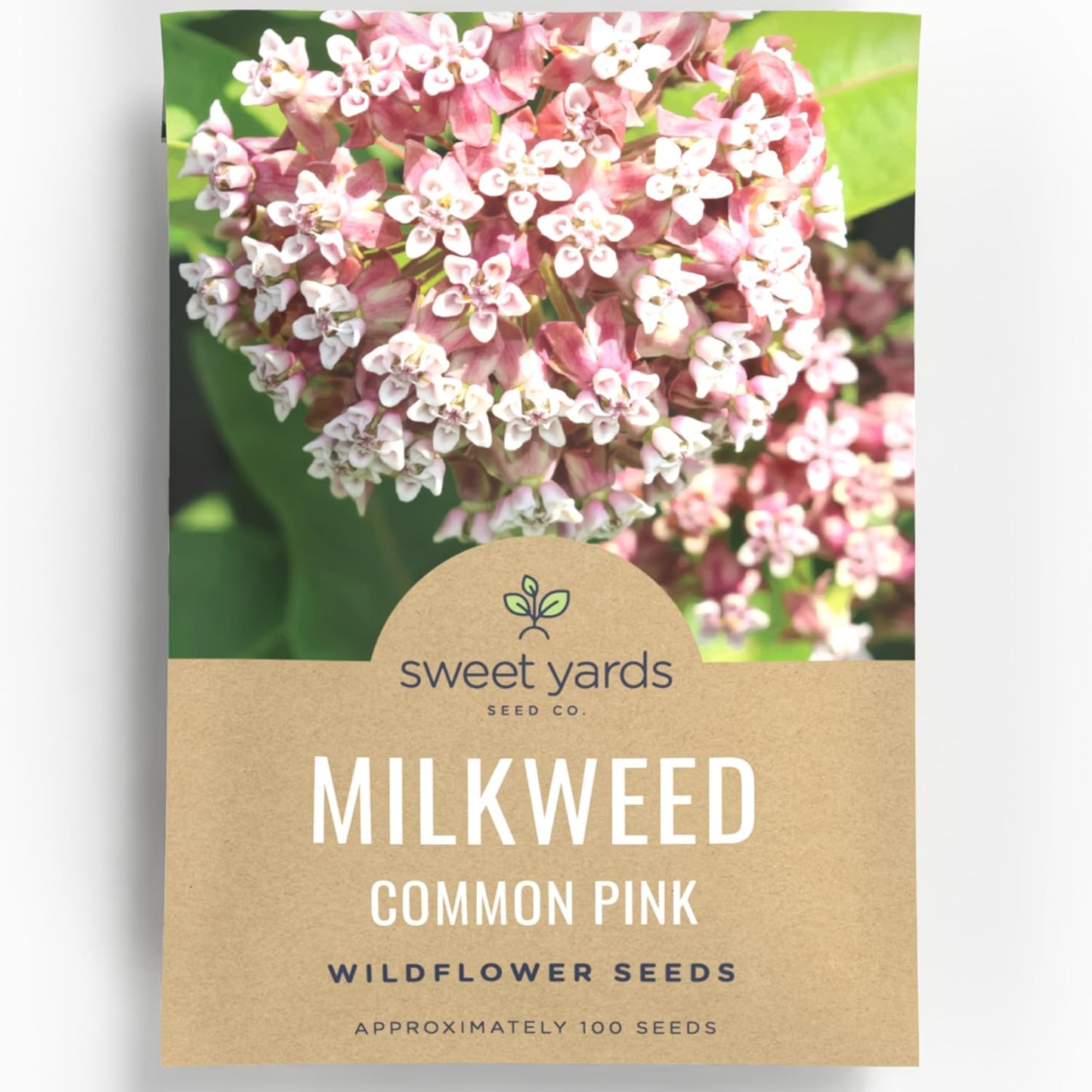 Common Pink Milkweed