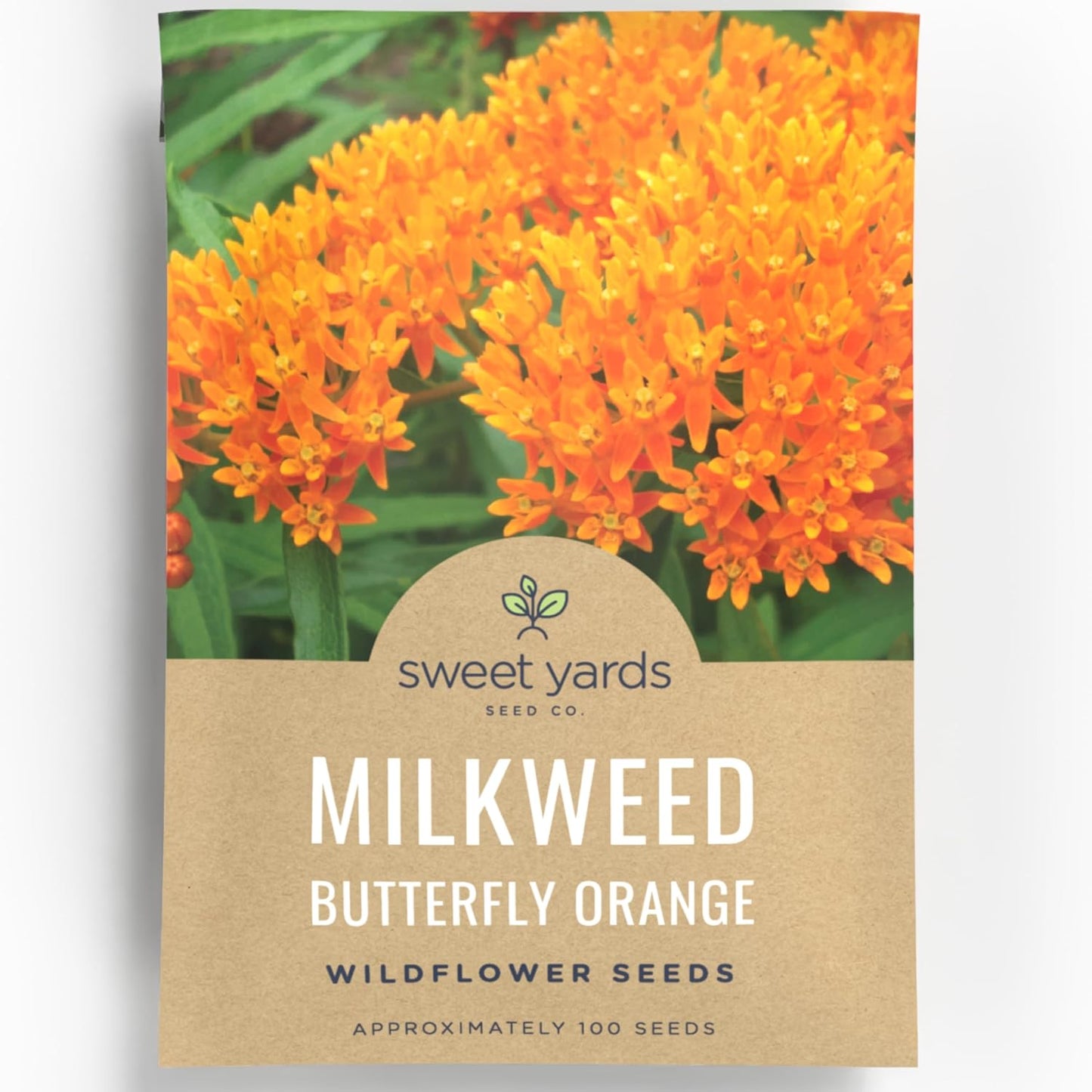 Butterfly Orange Milkweed
