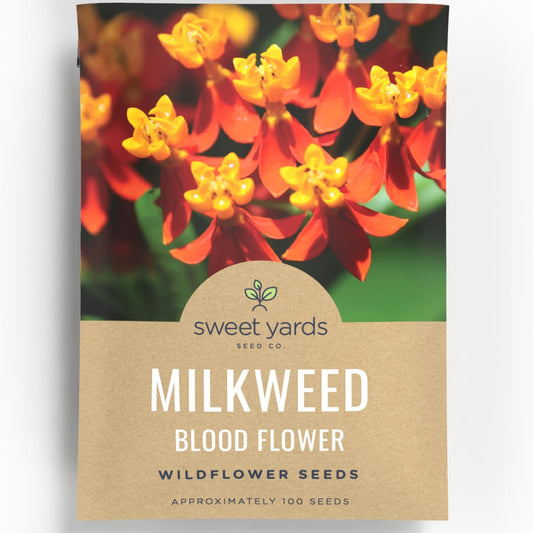 Milkweed - Blood Flower