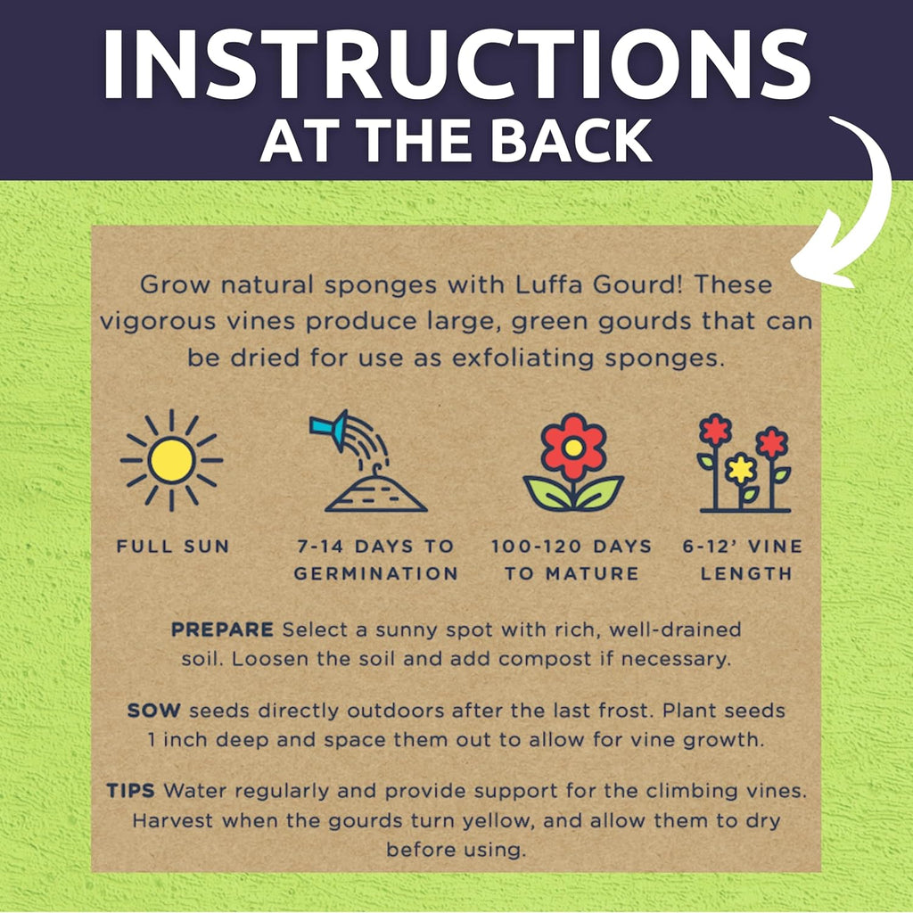 Luffa Gourd - Large 2,500mg Envelope