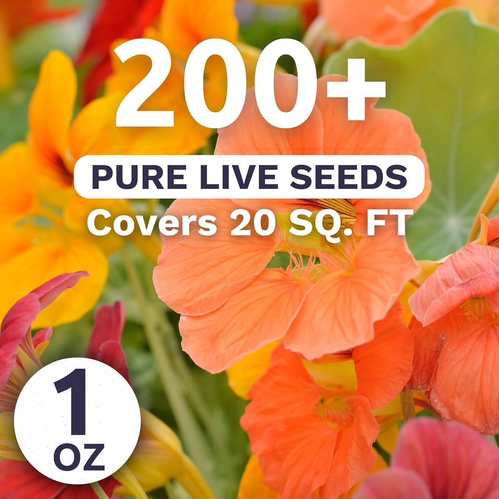 Nasturtium Tip Top Mix