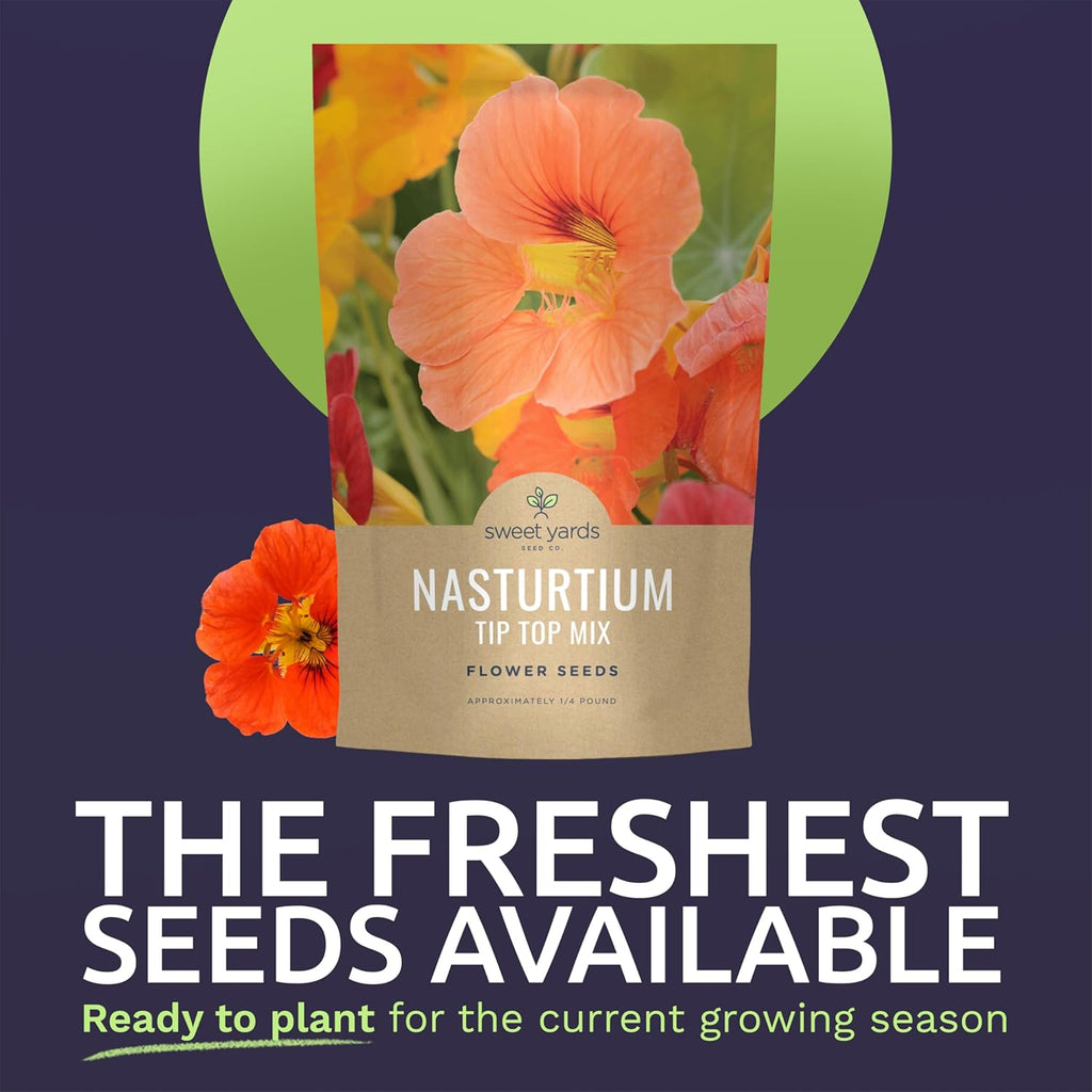 Nasturtium Tip Top Mix