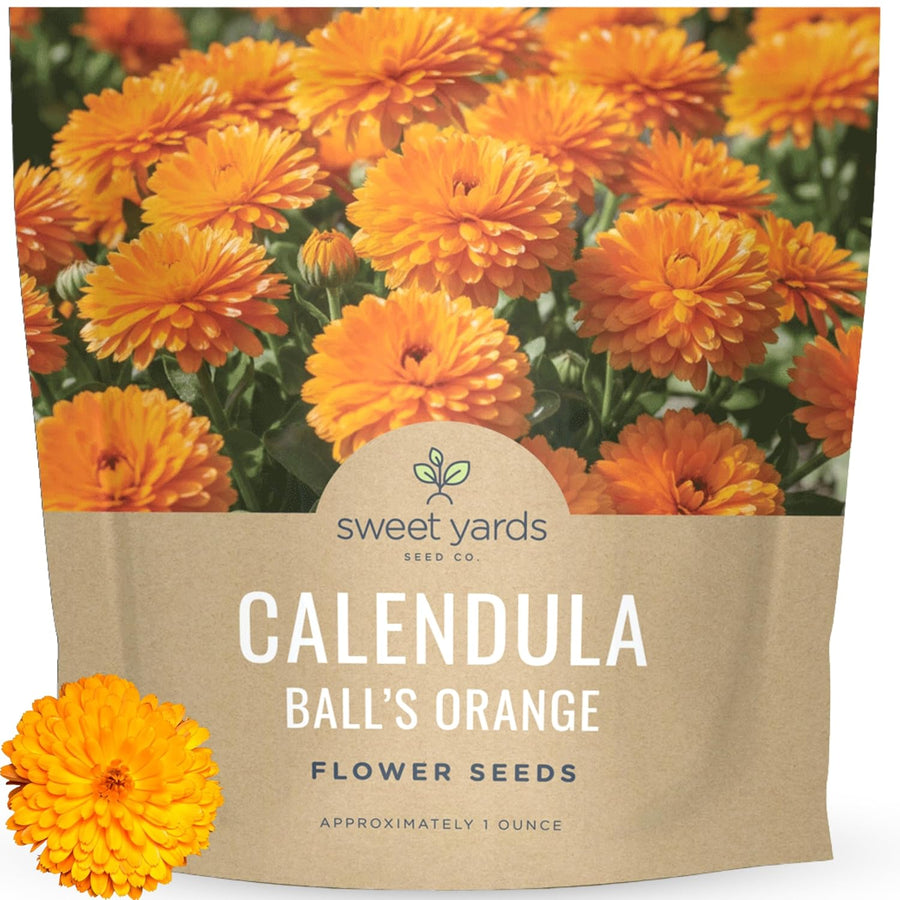 Calendula Balls Orange
