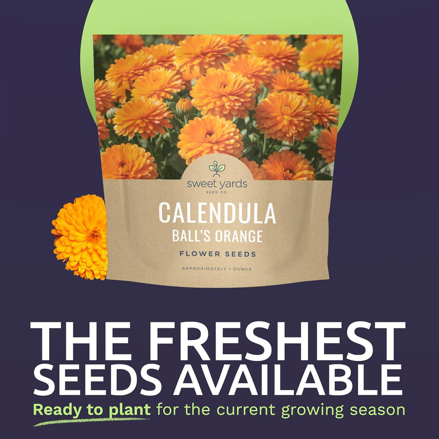 Calendula Balls Orange