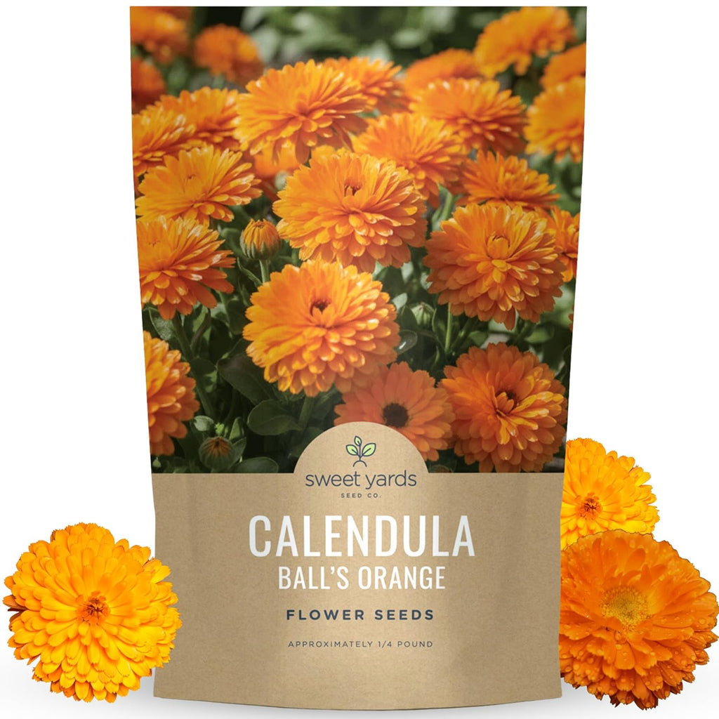 Calendula Balls Orange