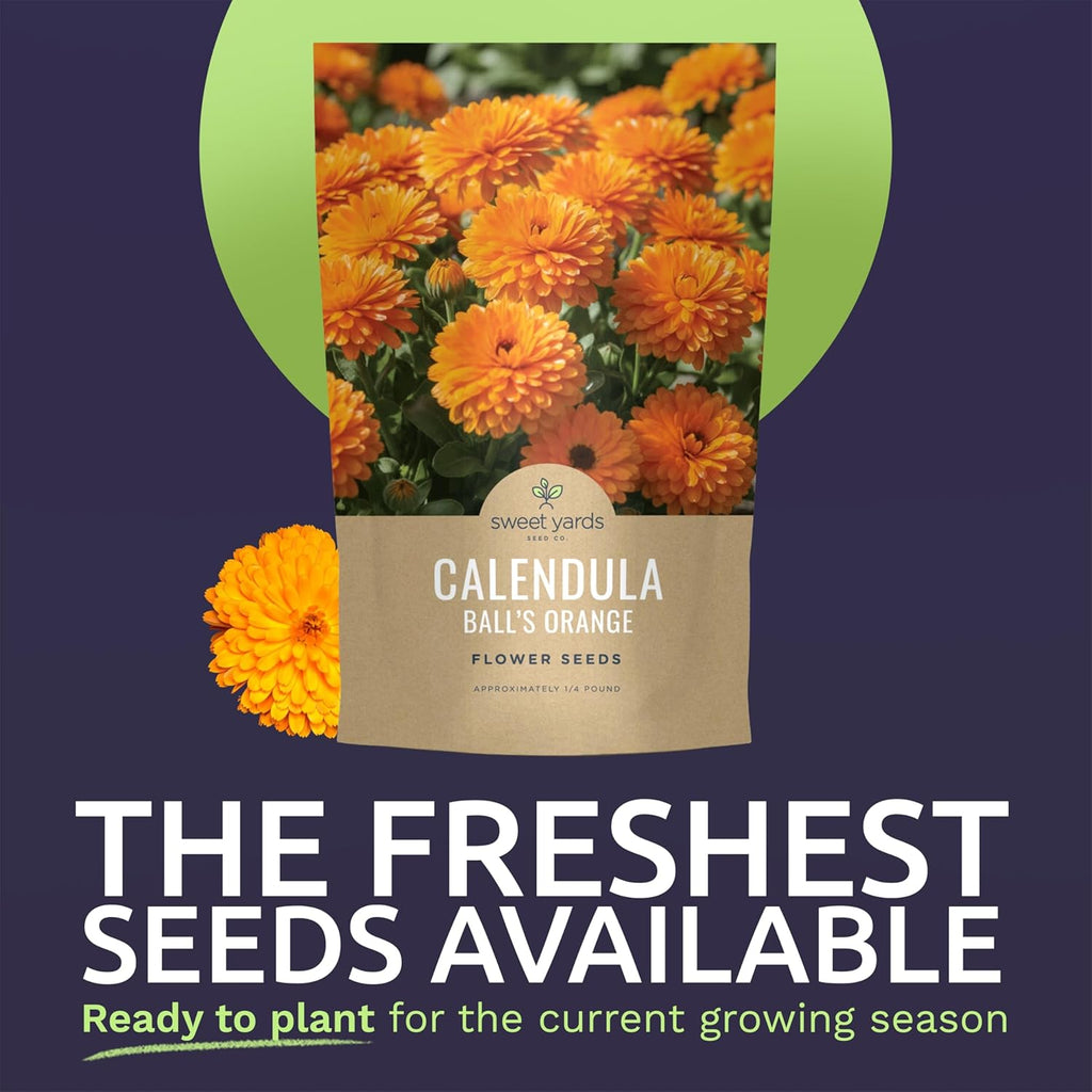 Calendula Balls Orange