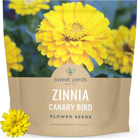 Zinnia Canary Bird