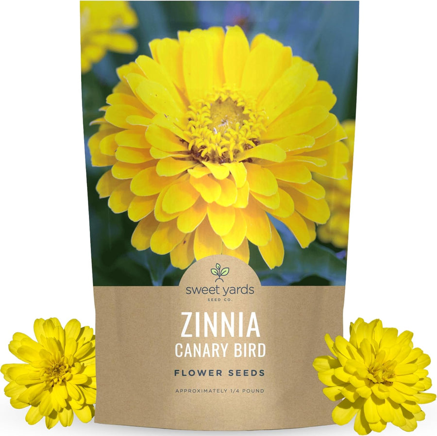 Zinnia Canary Bird