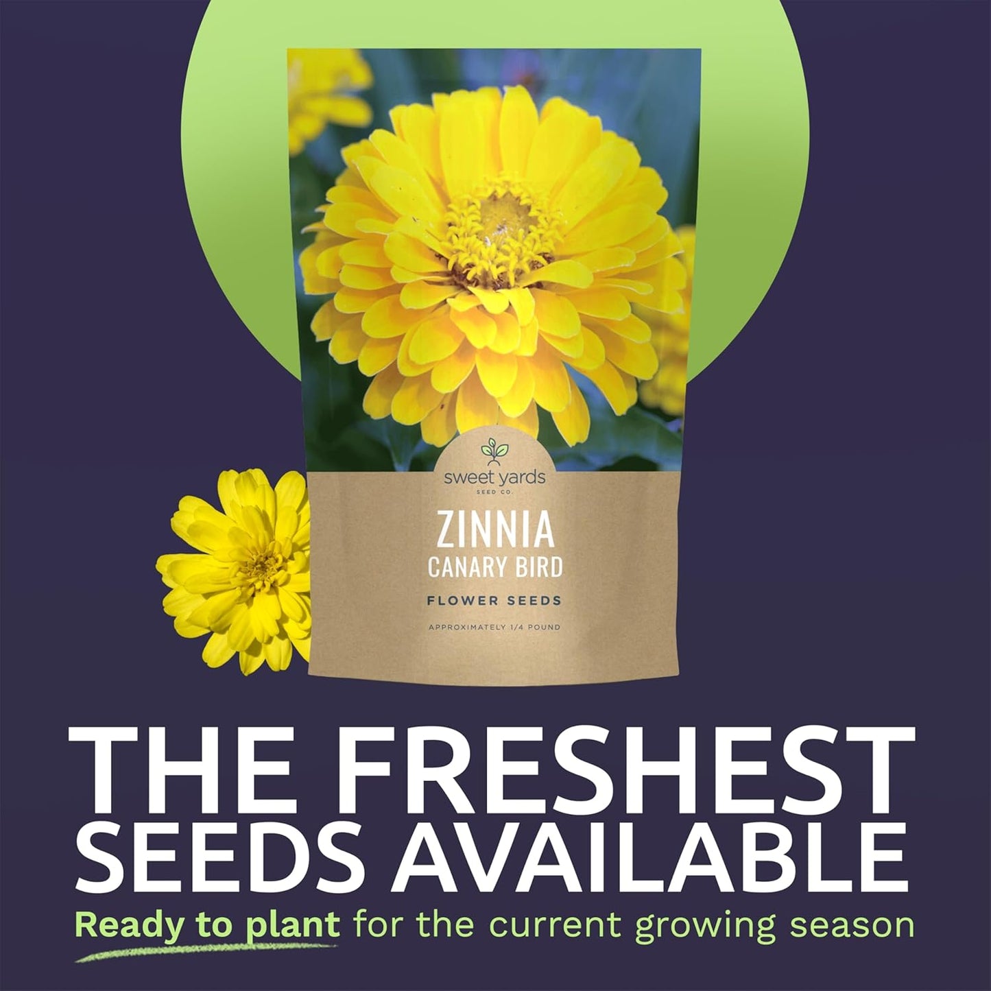 Zinnia Canary Bird