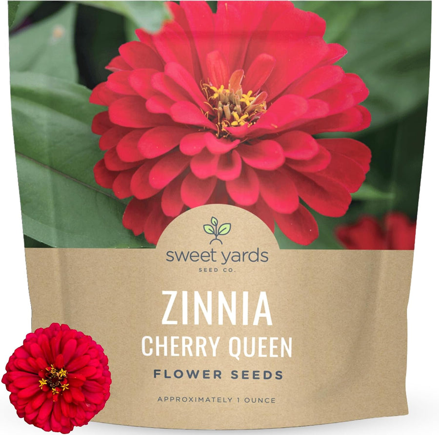 Zinnia Cherry Queen