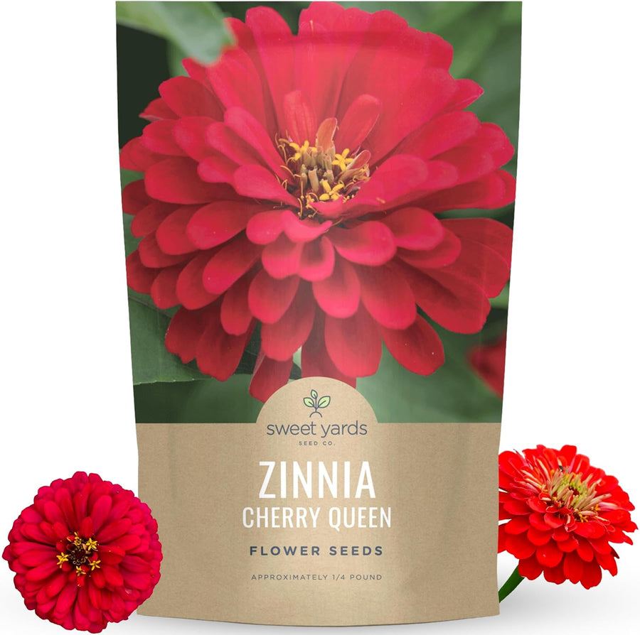Zinnia Cherry Queen