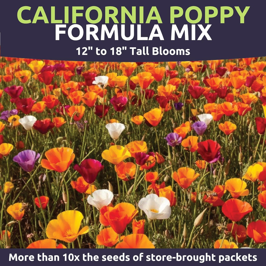 California Poppy – Formula Mix