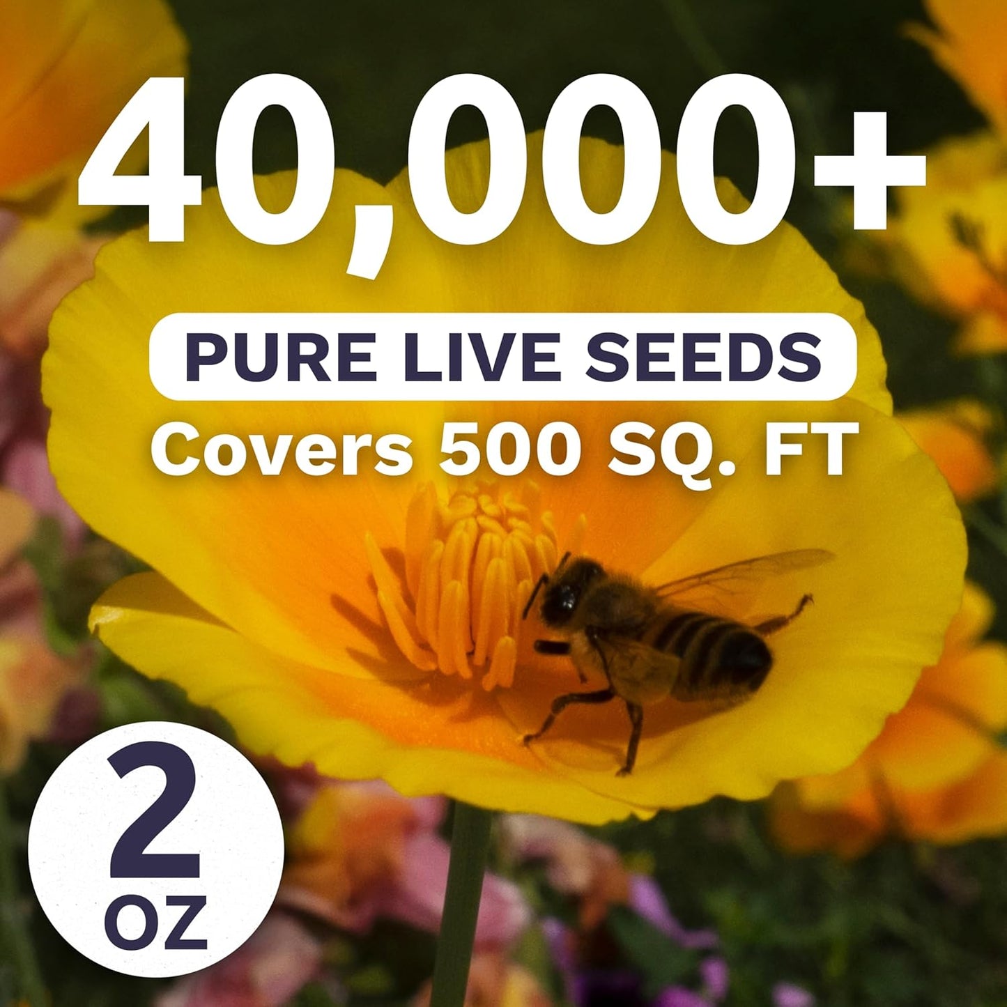 California Poppy – Formula Mix