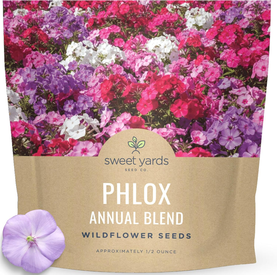 Phlox Annual Blend
