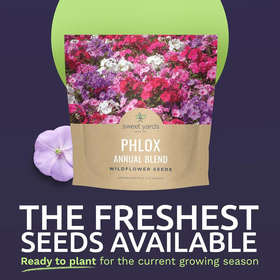 Phlox Annual Blend