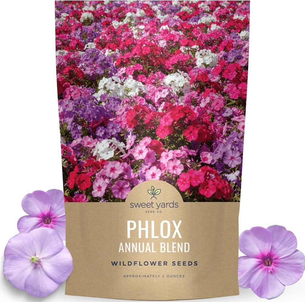 Phlox Annual Blend