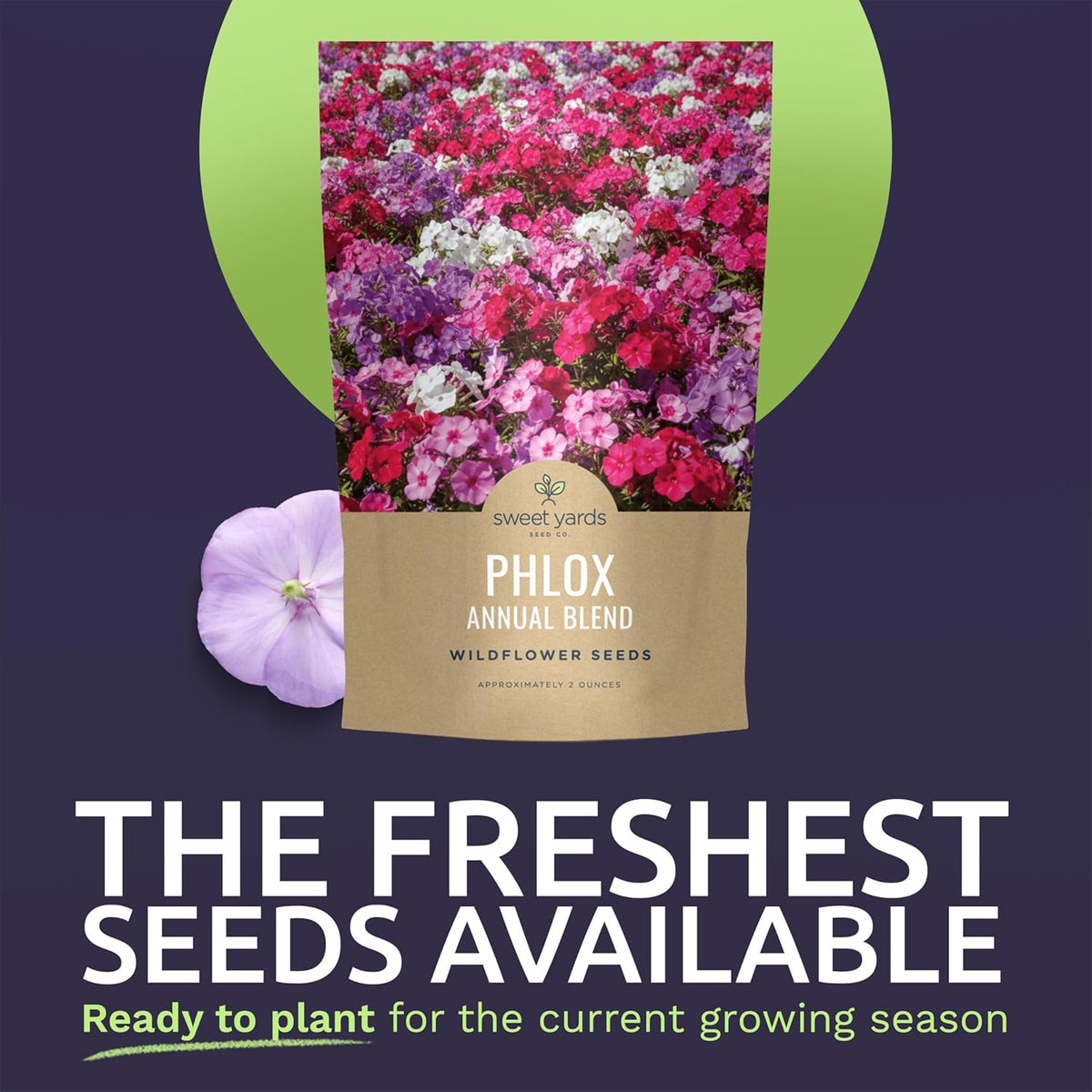 Phlox Annual Blend