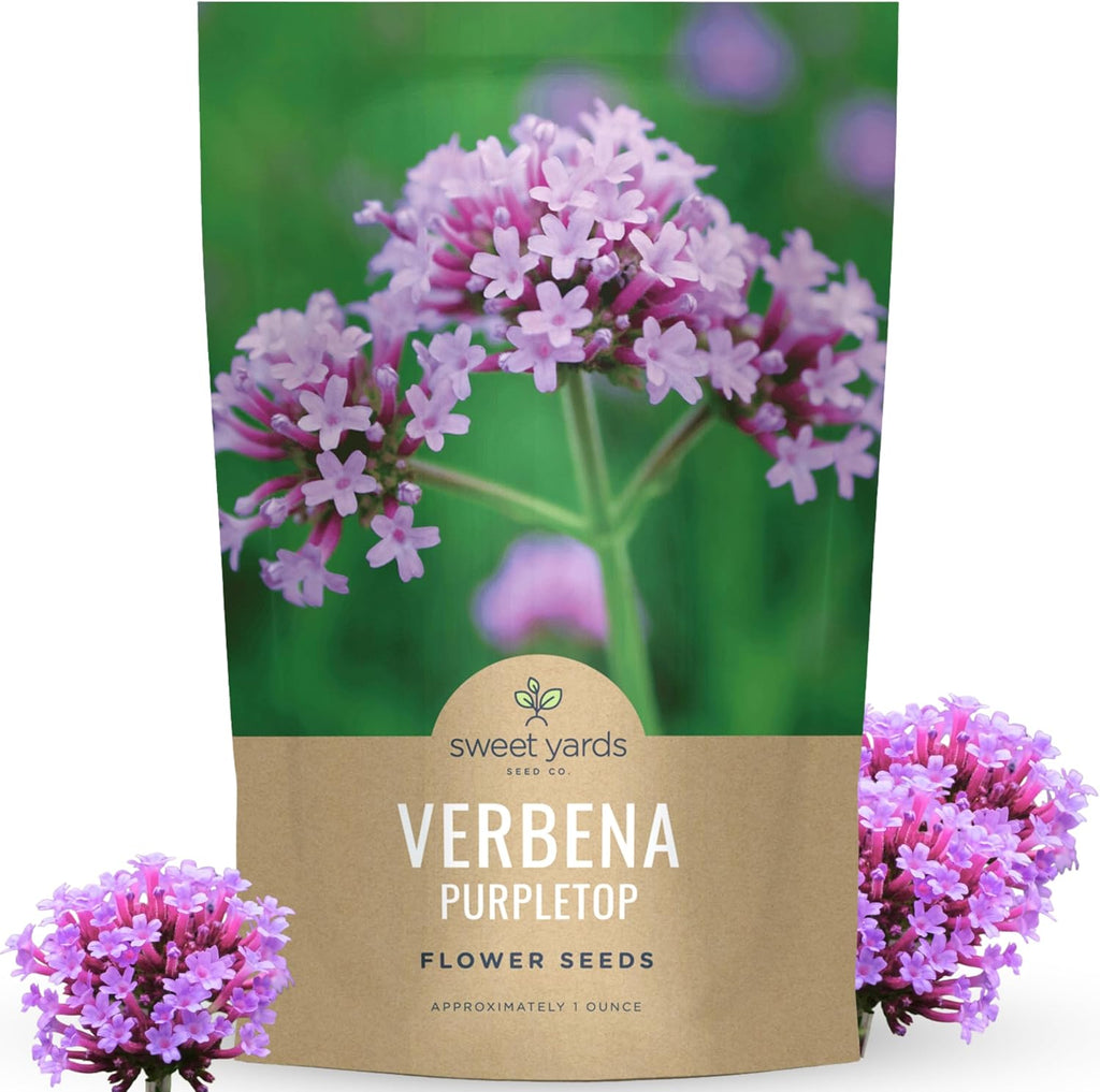 Purpletop Verbena