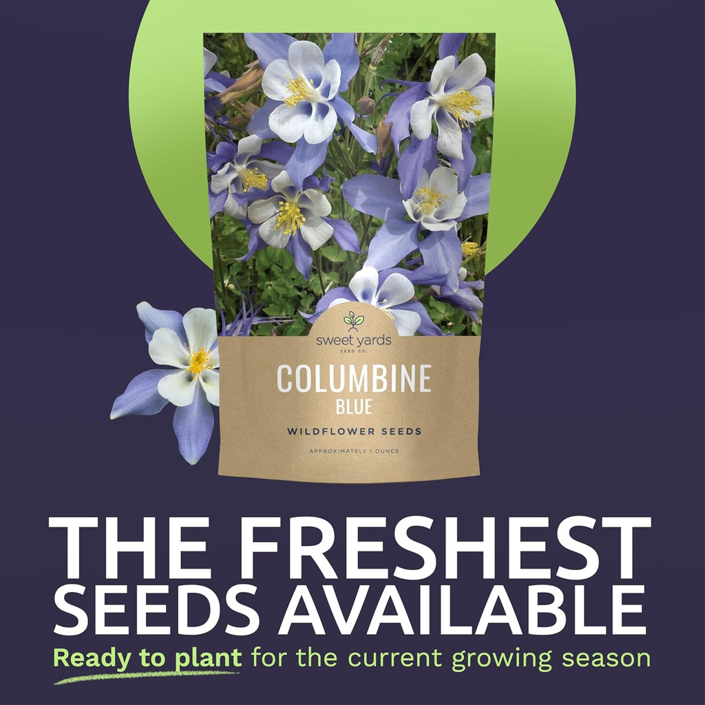 Columbine Blue