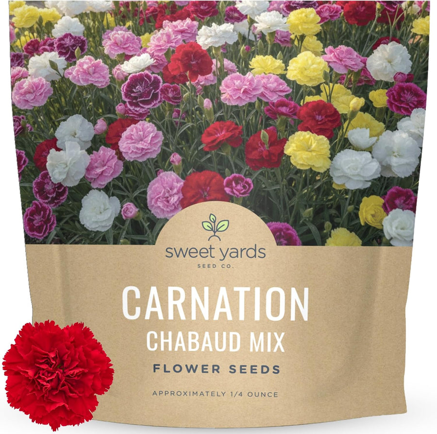 Carnation Chabaud Mix