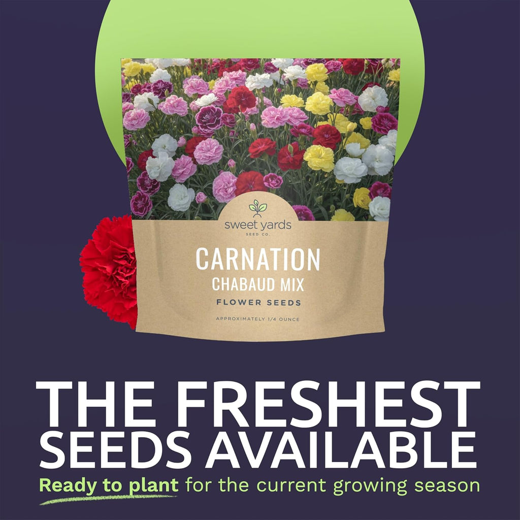 Carnation Chabaud Mix