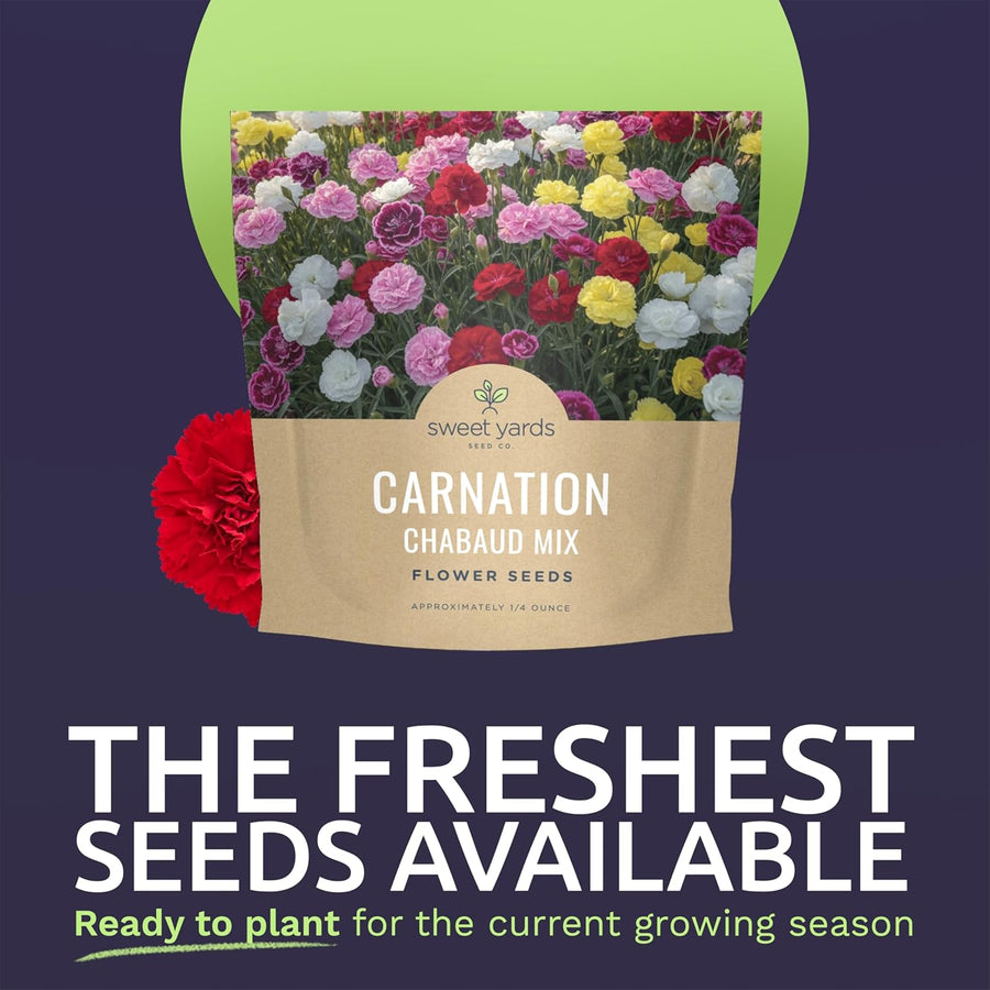 Carnation Chabaud Mix