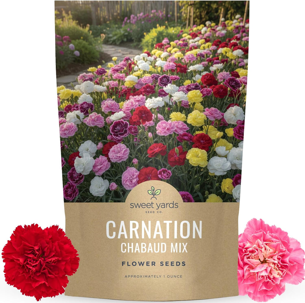 Carnation Chabaud Mix
