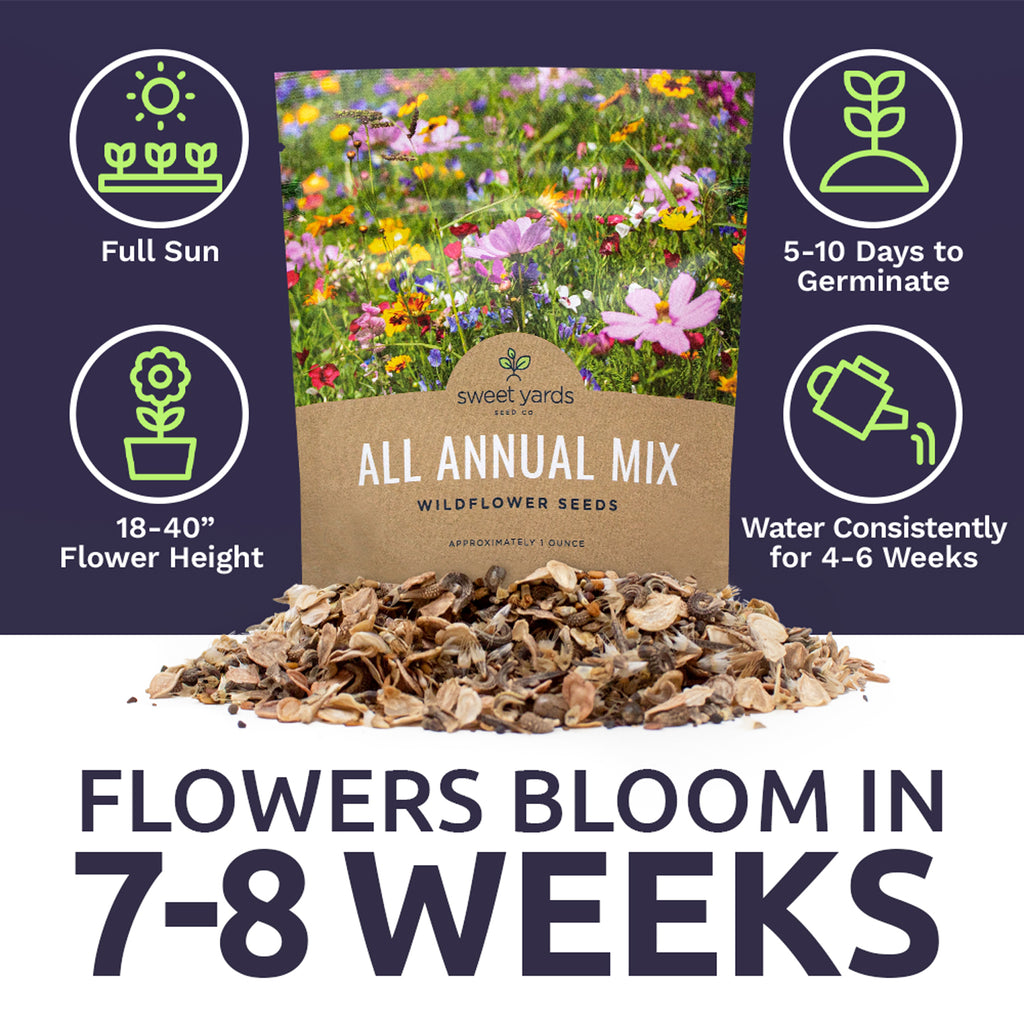 All Annual Quick Blooming Wildflower Mix