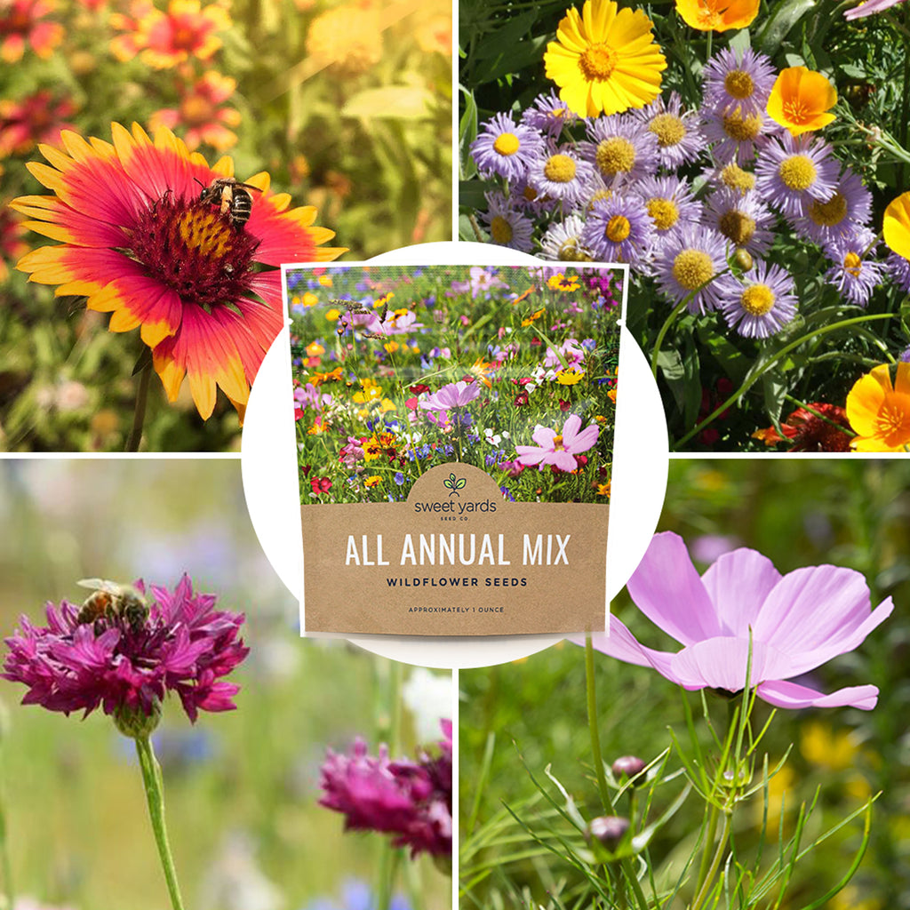 All Annual Quick Blooming Wildflower Mix