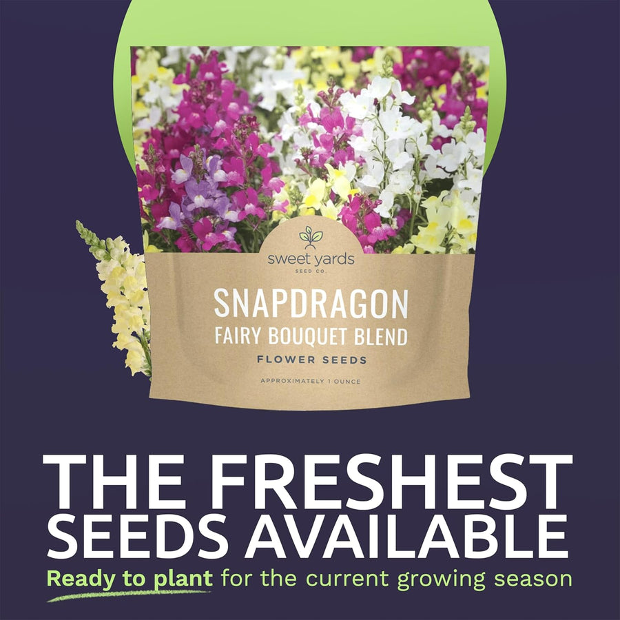 Snapdragon Fairy Bouquet Blend