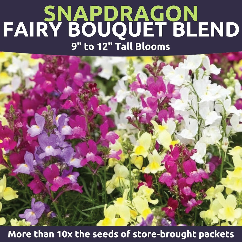 Snapdragon Fairy Bouquet Blend