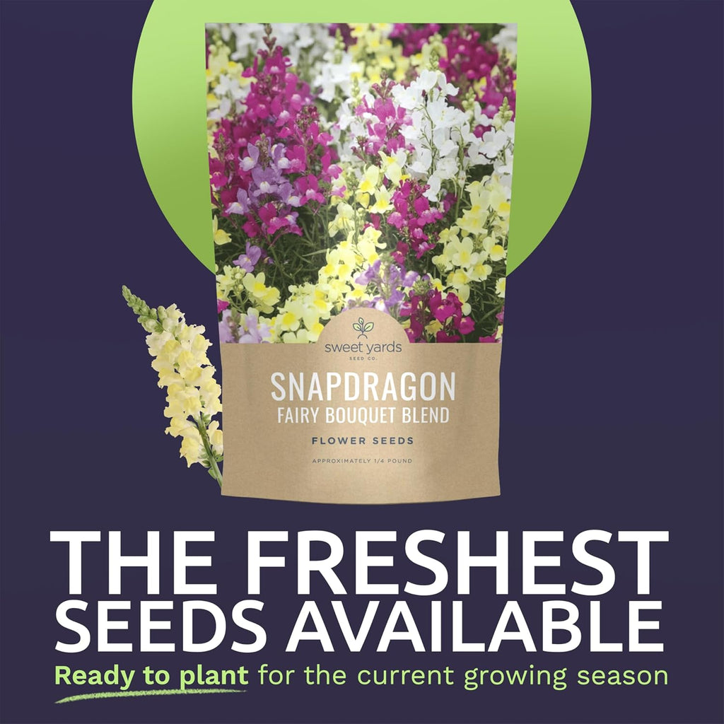 Snapdragon Fairy Bouquet Blend