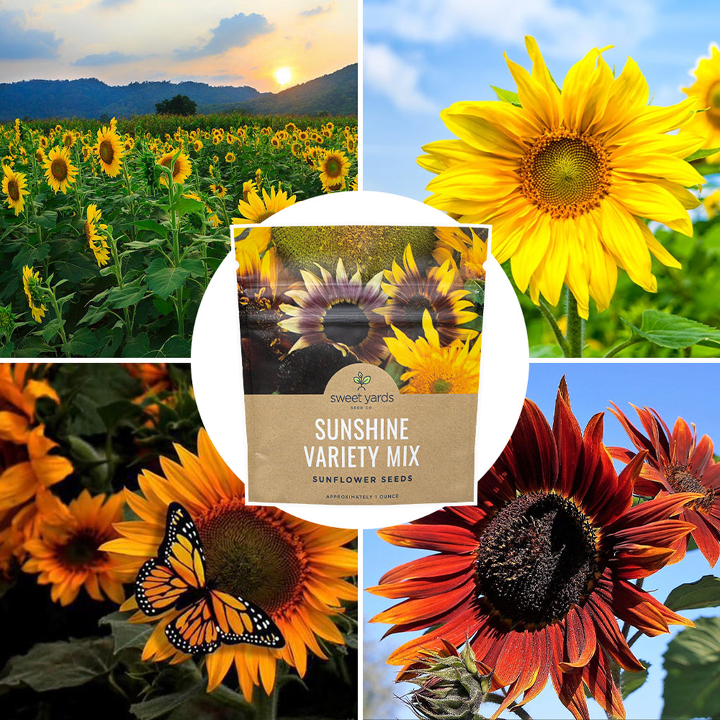 Sunshine Variety Sunflower Seed Mix