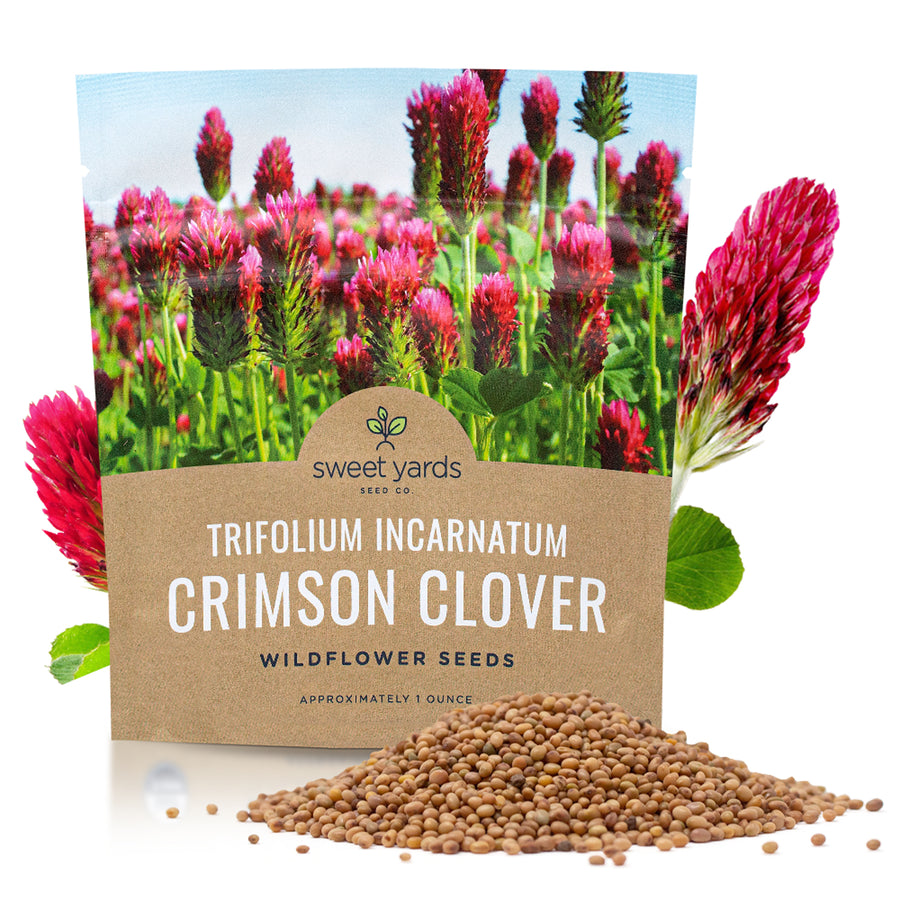 Crimson Clover