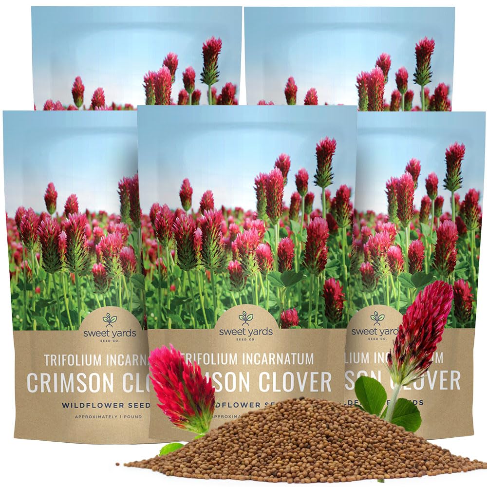 Crimson Clover