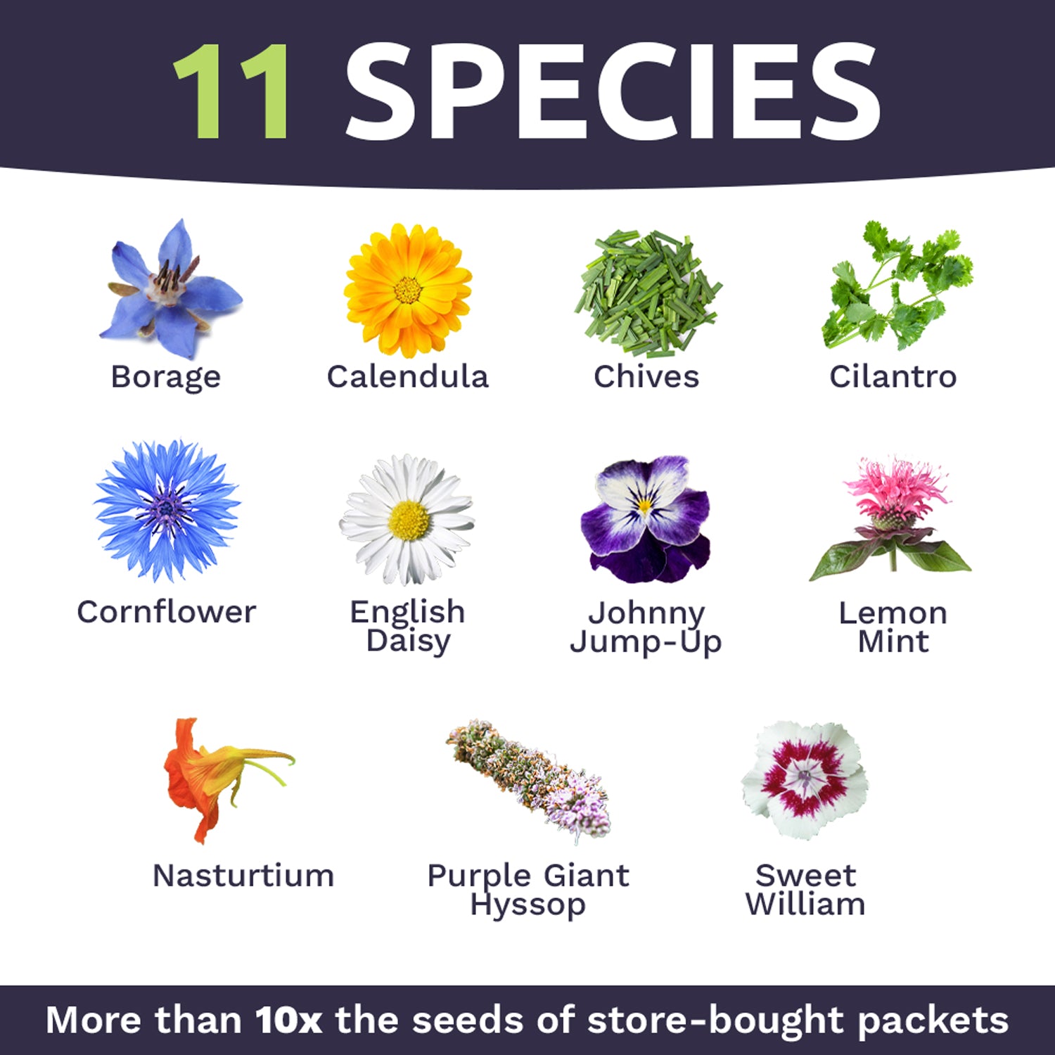 edible wildflower seeds Gourmet Edible Flowers Wildflower Blend – Sweet Yards